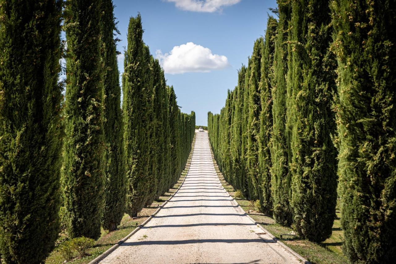 Villa Fattoria Colsanto Torre del Colle Exterior foto
