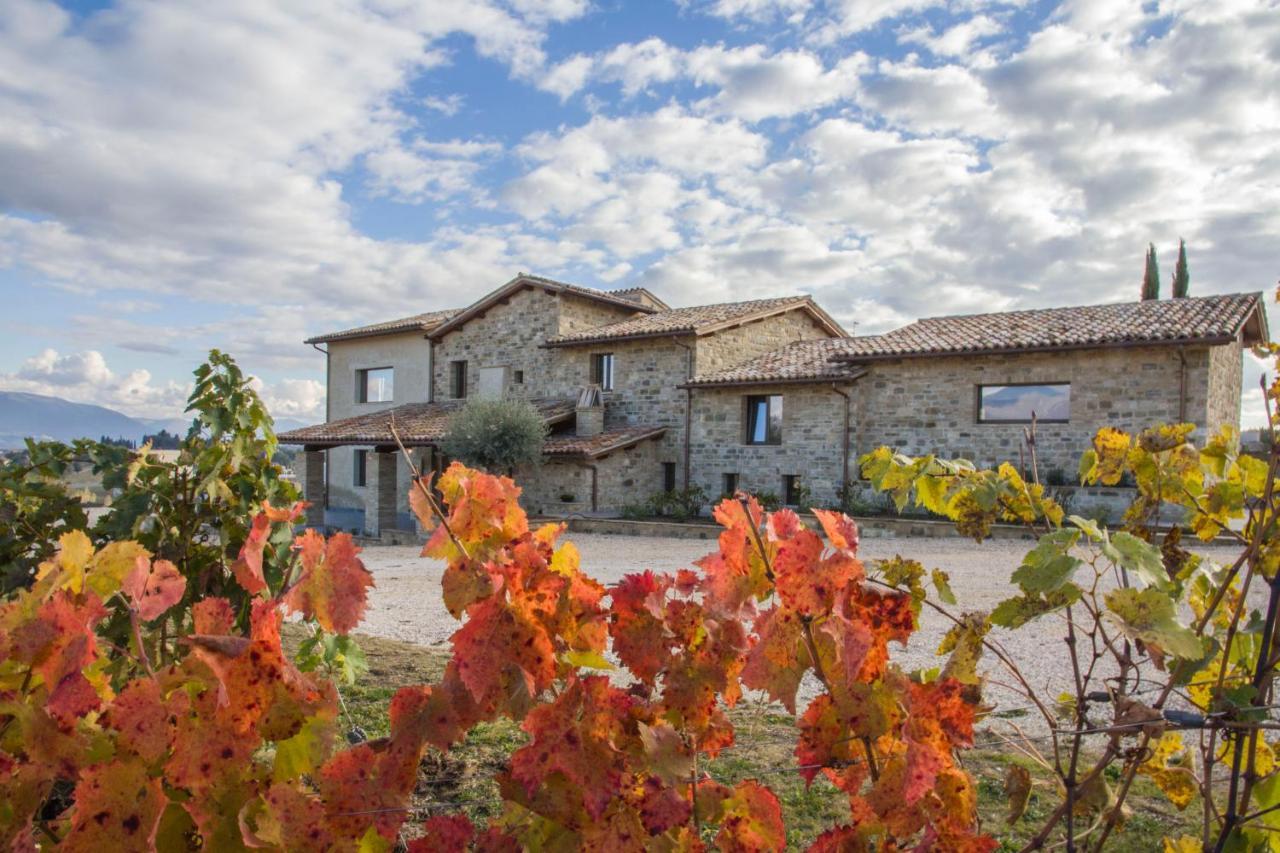 Villa Fattoria Colsanto Torre del Colle Exterior foto